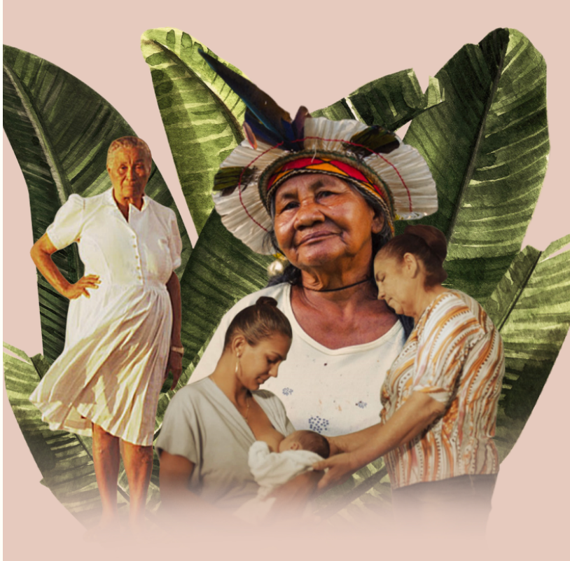 Doação Mulheres da Terra